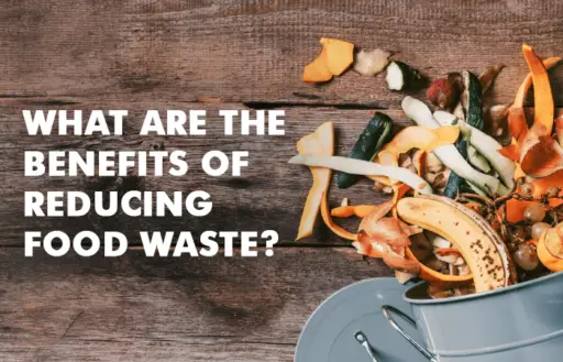 What Are The Benefits Of Reducing Food Waste? - Sweepstakesbible Blog