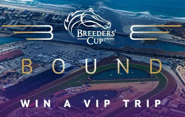 Win The Breeders Cup 2024 Bound Contest