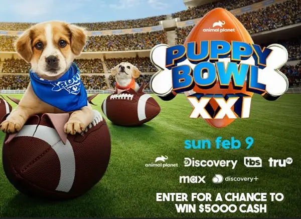 Puppy Bowl Kitty Halftime Sweepstakes 2025: Win $5000 Cash!