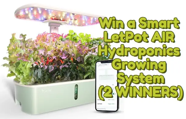 Win a Smart LetPot AIR Hydroponics Growing System! (2 Winners)