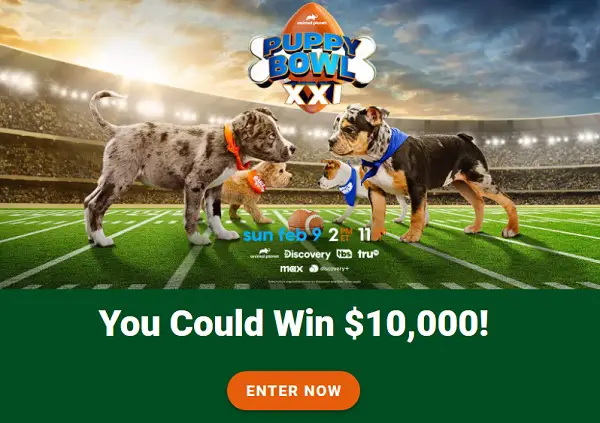 Valpak Puppy Bowl Sweepstakes: Win $10000 Free Cash!