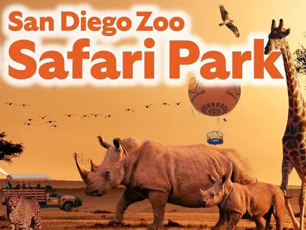 Cinemark’s San Diego Zoo Safari Trip Sweepstakes 2024