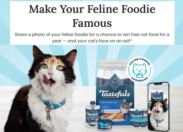 General Mills Make Your Feline Foodie Famous Contest: Win Free Cat Food for A Year!