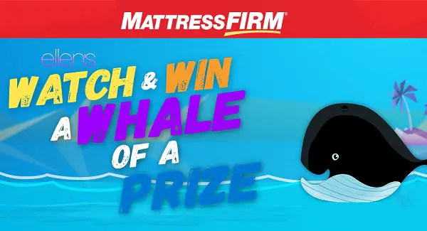 ellen mattress firm sweepstakes