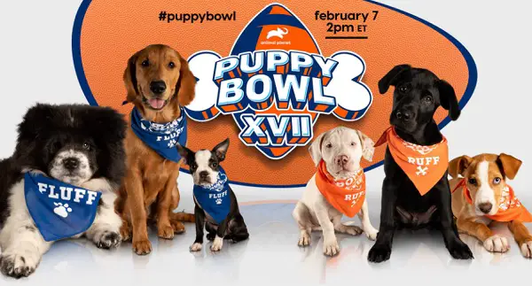 discovery puppy bowl